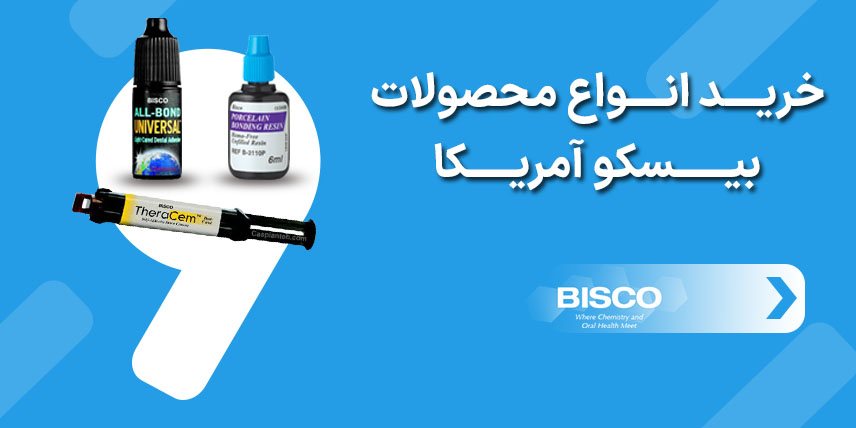 بیسکو-2